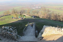 IMG_5142