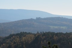 IMG_5282