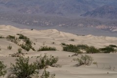 Piesočné duny