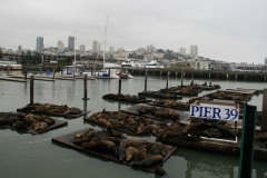 Pier 39